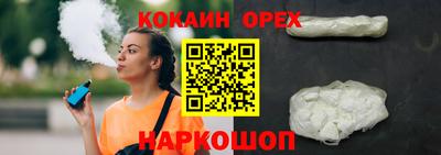 спиды Кингисепп