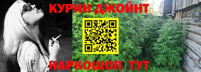 спиды Кингисепп