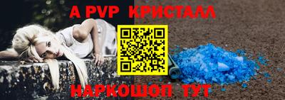 спиды Кингисепп