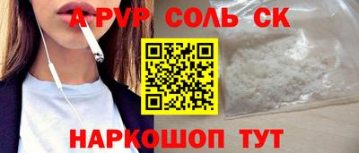 спиды Кингисепп