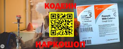 спиды Кингисепп