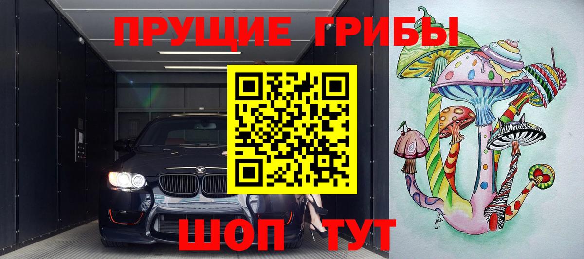 Кострома  Псилоцибиновые грибы MAGIC MUSHROOMS  Псилоцибиновые грибы Psilocybe  Вход с VPN 