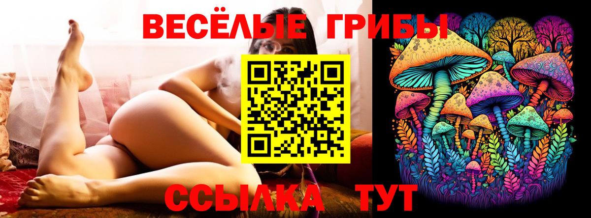 Псилоцибиновые грибы Magic Shrooms Кострома